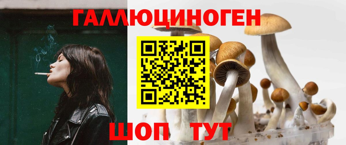 Бузулук  Псилоцибиновые грибы мухоморы  Вход с VPN 